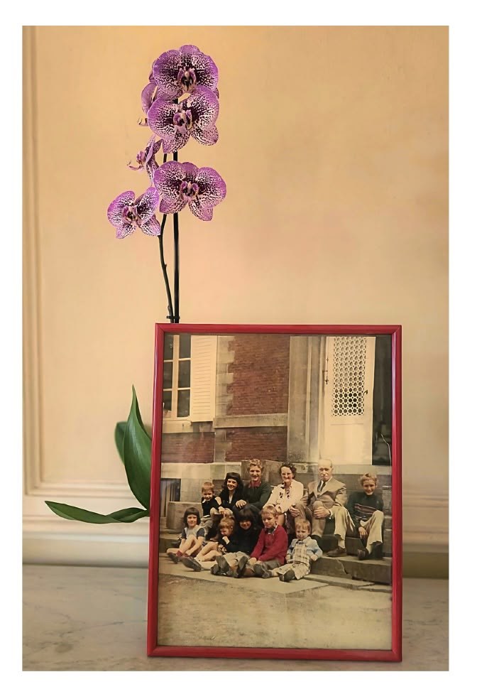 Photo de famille devant le château